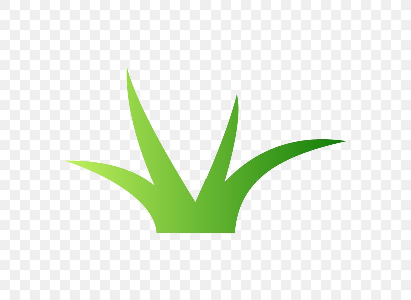 Leaf Logo Font Plant Stem Line, PNG, 600x600px, Leaf, Grass, Green, Logo, Plant Download Free