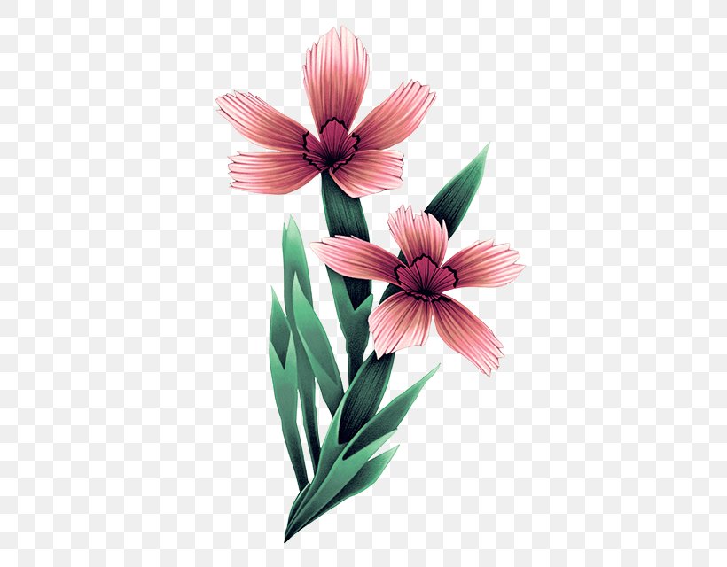Petal Cut Flowers Magenta Flowering Plant, PNG, 657x640px, Petal, Cut Flowers, Flower, Flowering Plant, Magenta Download Free