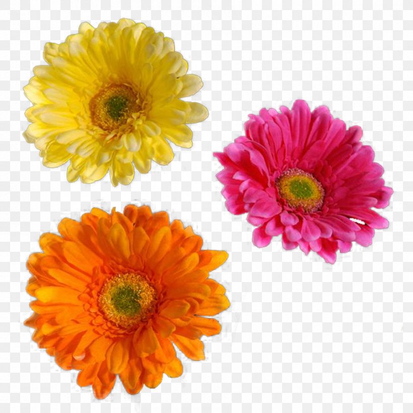 Flores (Flowers) Clip Art, PNG, 900x900px, Flores Flowers, Animation, Annual Plant, Calendula, Chrysanths Download Free