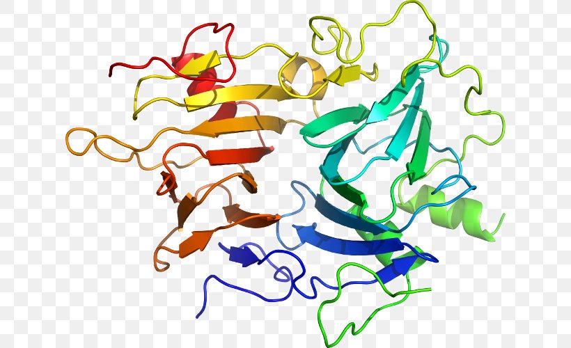 KLK6 Kallikrein Gene Protease Protein, PNG, 632x500px, Watercolor, Cartoon, Flower, Frame, Heart Download Free