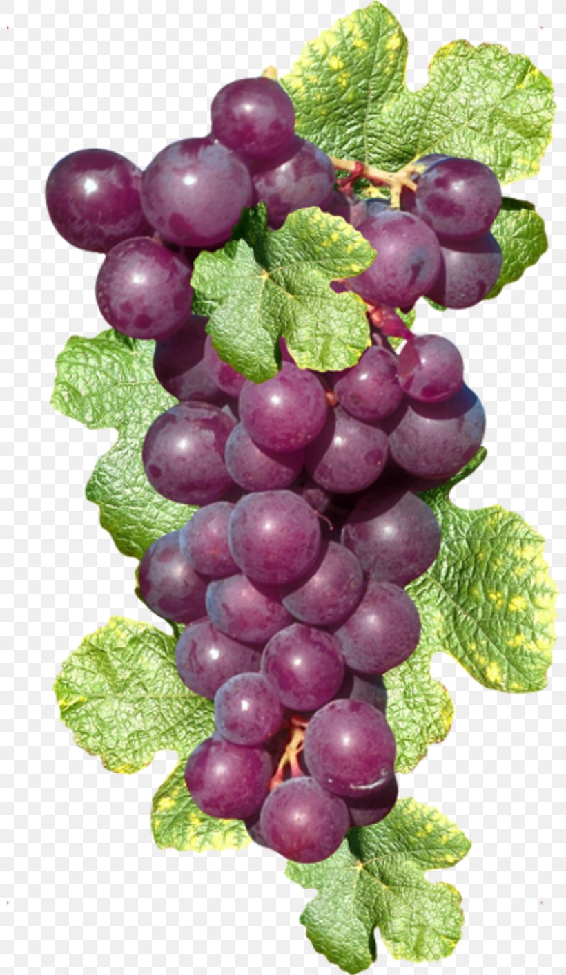 Sultana Zante Currant Common Grape Vine Wine, PNG, 800x1411px, Sultana, Amazon Grape, Berry, Common Grape Vine, Concord Grape Download Free