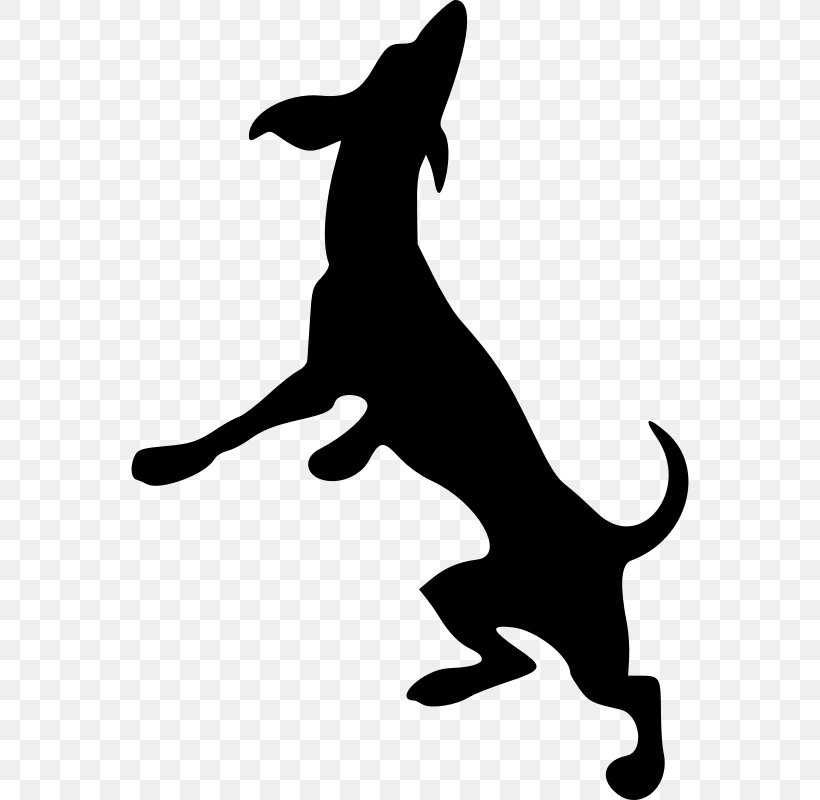 Dobermann Greyhound Scotch Collie Clip Art, PNG, 558x800px, Dobermann, Artwork, Black, Black And White, Carnivoran Download Free
