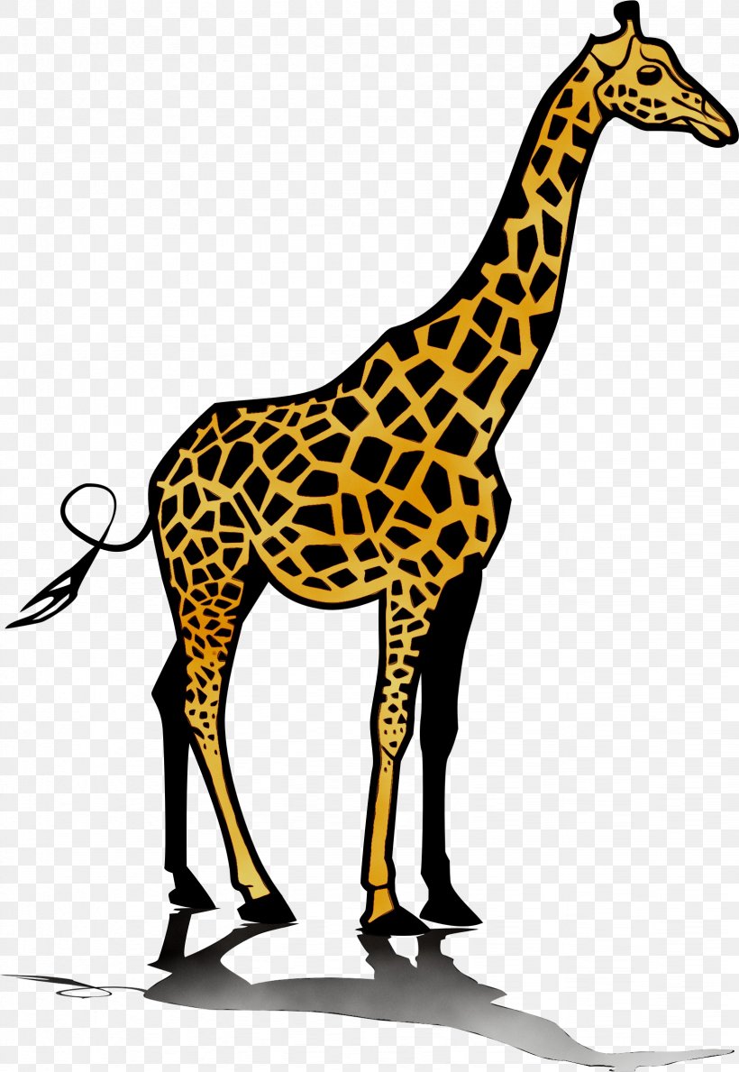 Giraffe Clip Art JPEG, PNG, 1644x2384px, Giraffe, Adaptation, Animal Figure, Fawn, Giraffidae Download Free