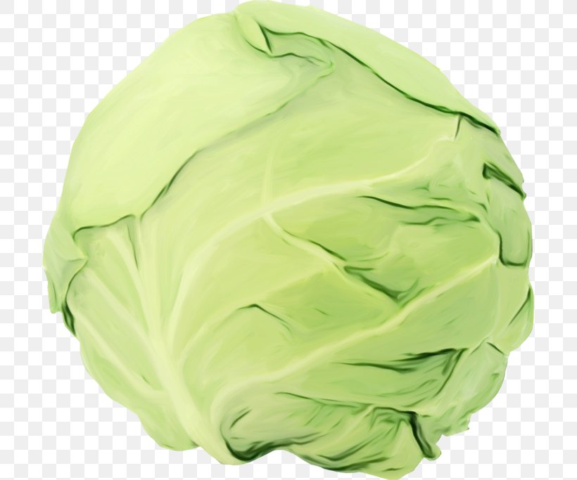 Green Background, PNG, 699x683px, Cabbage, Green, Greens, Wild Cabbage Download Free