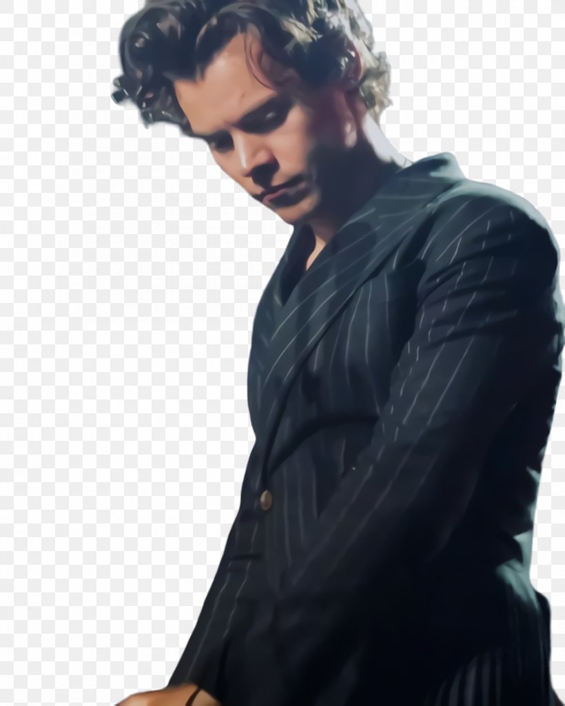 Hair Cartoon, PNG, 894x1118px, Harry Styles, Actor, Black Hair, Boy, Concert Download Free