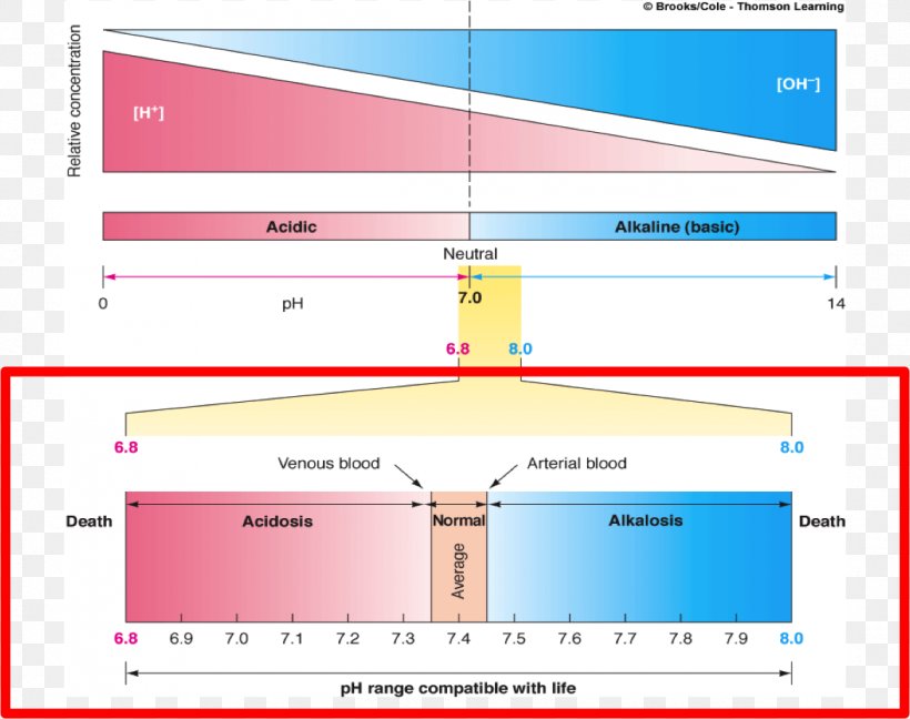 Line Point Angle, PNG, 1164x920px, Point, Area, Diagram, Organization, Rectangle Download Free