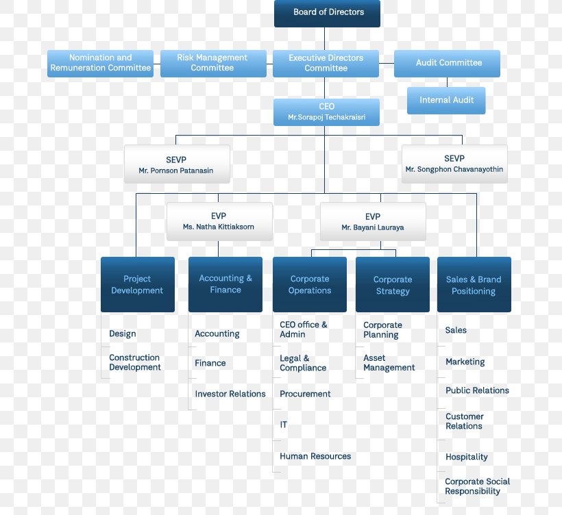 Organizational Chart Organizational Structure Property Developer ...