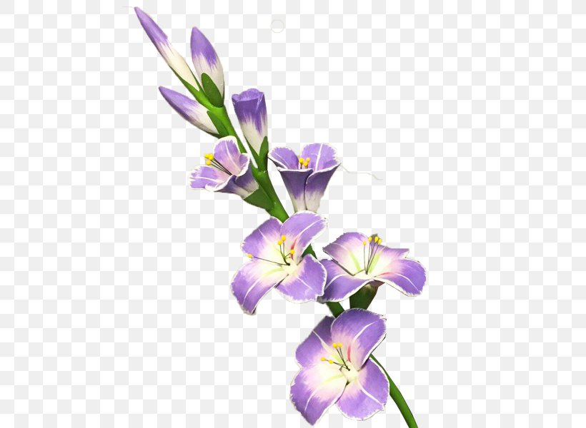 Gladiolus Flower Clip Art, PNG, 600x600px, Gladiolus, Bulb, Charming Beauty, Cut Flowers, Daffodil Download Free