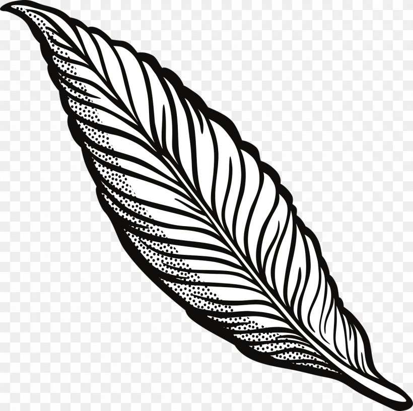 Line Art Drawing Feather Clip Art, PNG, 1280x1274px, Line Art, Art, Beak, Bird, Black And White Download Free