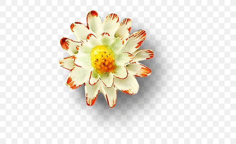 Nelumbo Nucifera Download Google Images Floral Design, PNG, 500x500px, Nelumbo Nucifera, Chrysanths, Cut Flowers, Daisy Family, Designer Download Free