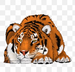 Tiger - Tiger Bengal Cat Whiskers DeviantArt Lynx PNG