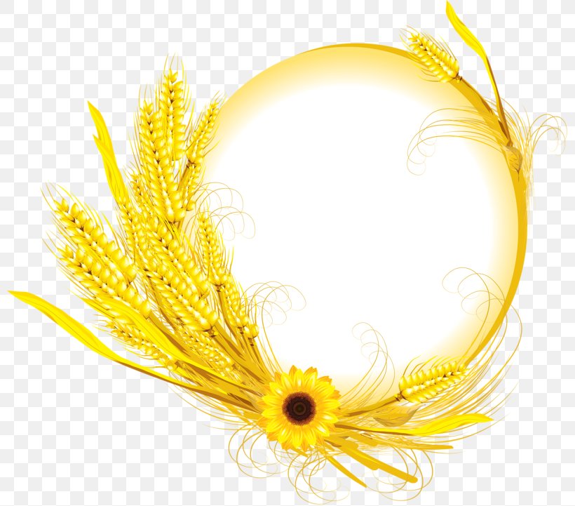 Wheat Royalty-free Illustration, PNG, 800x721px, Wheat, Autumn, Commodity, Cut Flowers, Ear Download Free