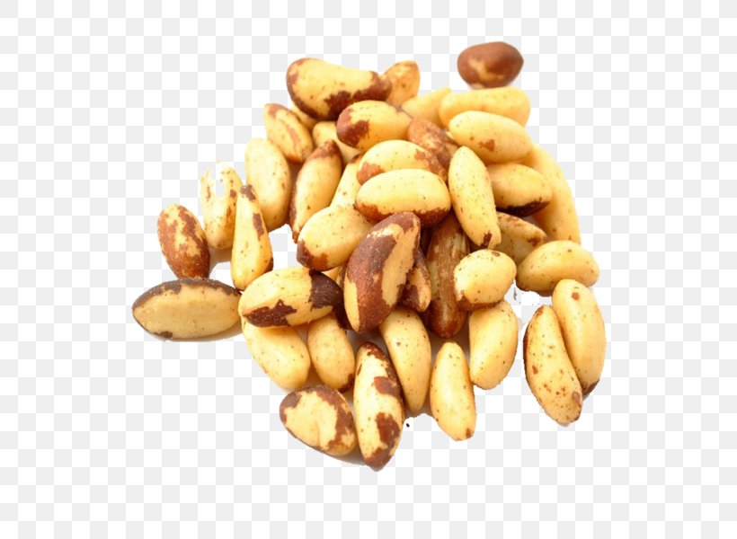 Nut Roast Food Brazil Nut Peanut, PNG, 600x600px, Nut, Brazil Nut, Commodity, Food, Hazelnut Download Free