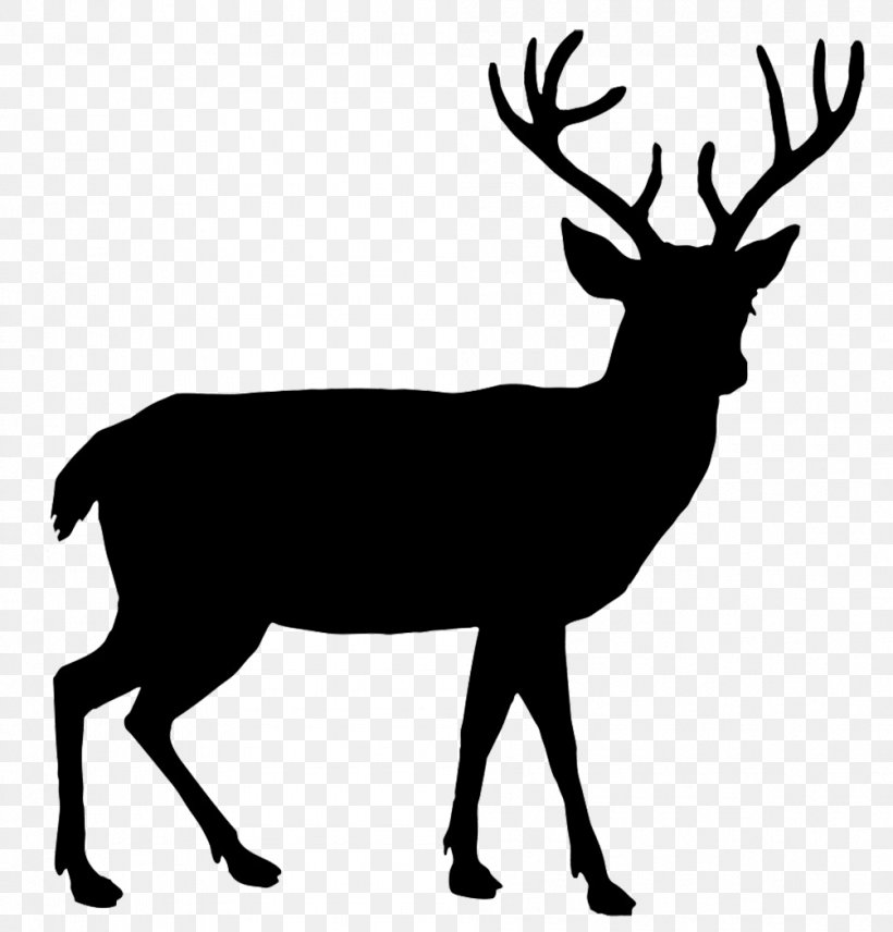 White-tailed Deer Reindeer Red Deer Elk, PNG, 1004x1049px, Deer, Antler, Black And White, Drawing, Elk Download Free