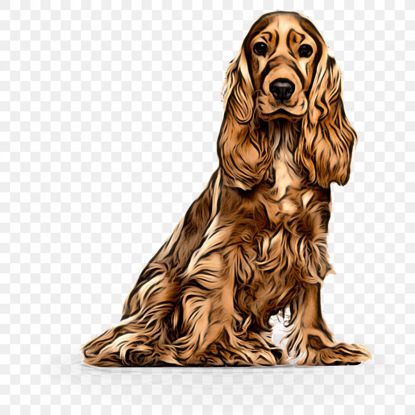 Dog Cocker Spaniel Irish Setter English Cocker Spaniel Spaniel, PNG, 920x920px, Dog, Cocker Spaniel, Companion Dog, English Cocker Spaniel, Field Spaniel Download Free