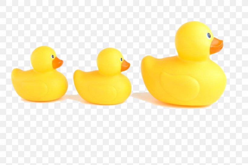 Duck Toy Animal, PNG, 1100x733px, Duck, Animal, Beak, Bird, Cartoon Download Free
