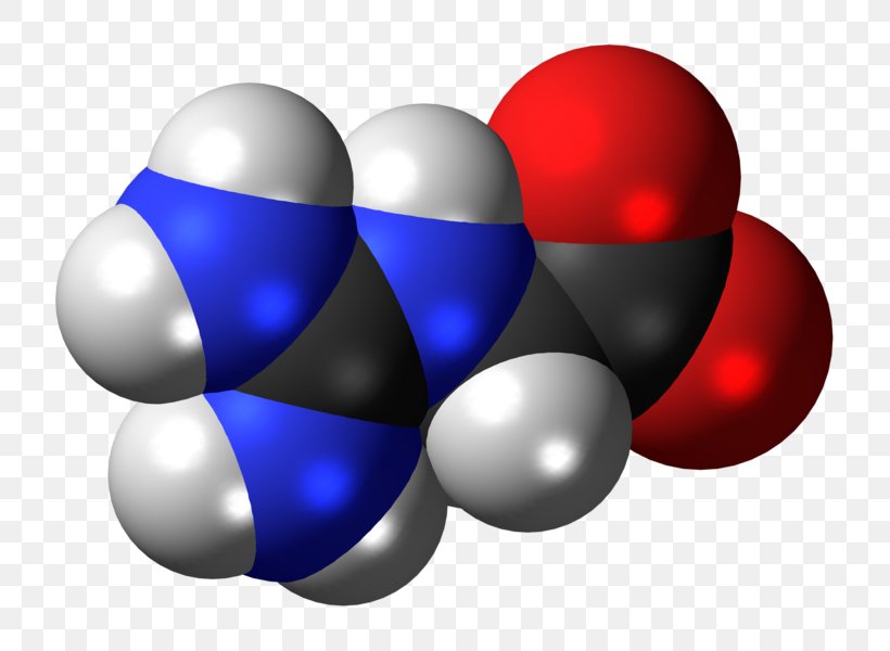 Glycocyamine Succinic Acid Gamma-Aminobutyric Acid Amino Acid, PNG, 799x600px, Glycocyamine, Acid, Amine, Amino Acid, Ballandstick Model Download Free