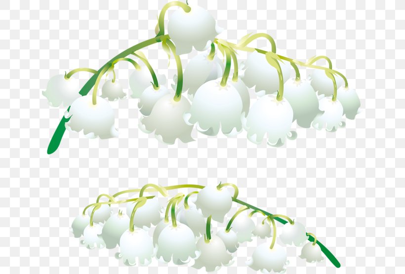 Lily Of The Valley Orchids Salep, PNG, 650x555px, Lily Of The Valley, Cartoon, Flower, Liveinternet, Orchids Download Free