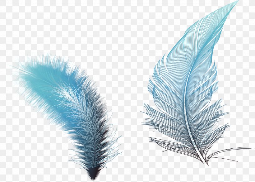 Feather Euclidean Vector RGB Color Model, PNG, 2352x1677px, Feather, Blue, Color, Designer, Google Images Download Free