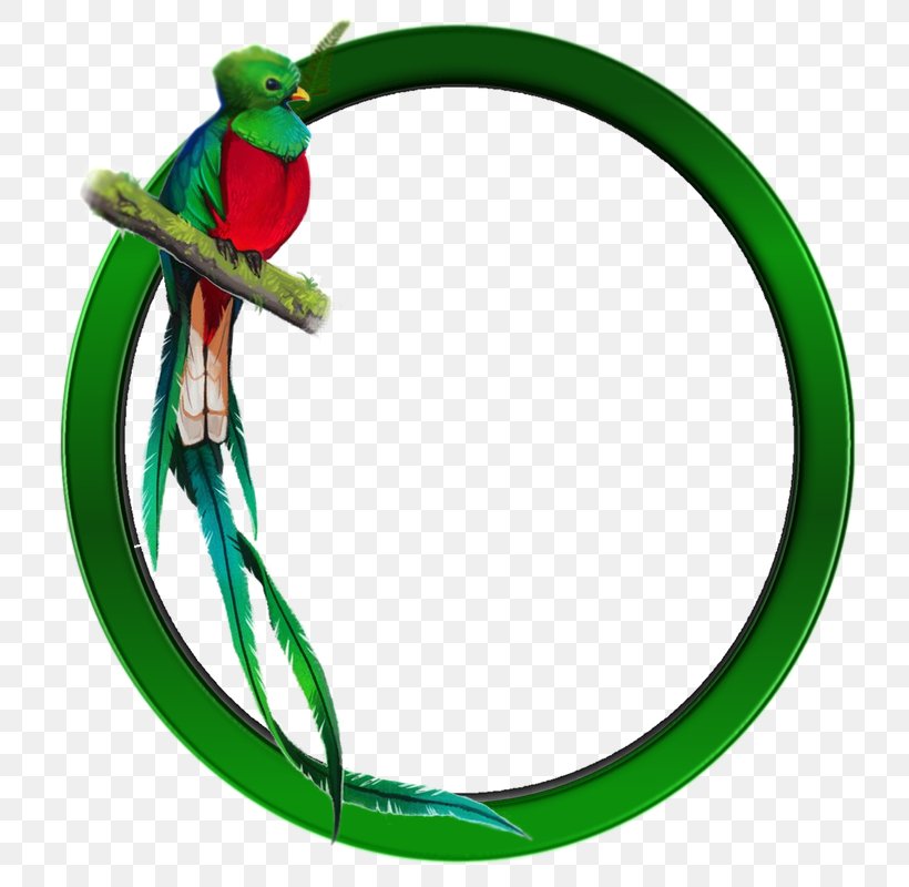 Guatemalan Quetzal Bird Resplendent Quetzal, PNG, 800x800px, Guatemala, Anhinga, Animal Figure, Aztec, Beak Download Free