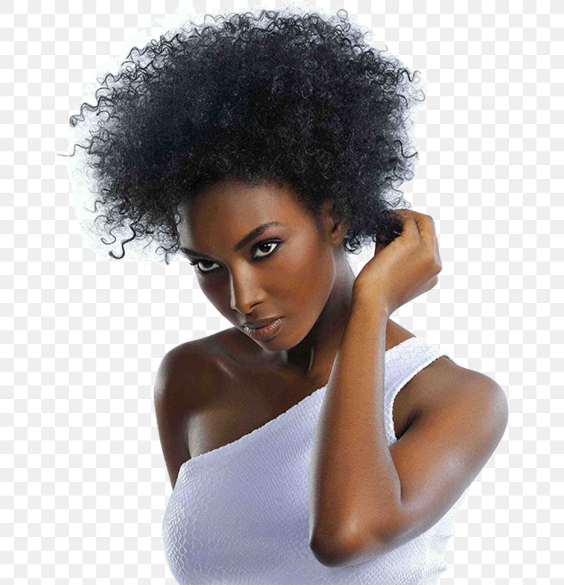 Hairstyle Afro-textured Hair Frizz Hair Care, PNG, 660x850px, Hairstyle, Afro, Afrotextured Hair, Artificial Hair Integrations, Beauty Parlour Download Free