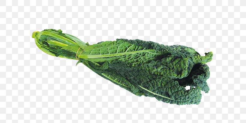 Lacinato Kale Rapini Spring Greens Collard Greens Brussels Sprout, PNG, 617x411px, Lacinato Kale, Brussels Sprout, Cabbages, Chard, Collard Greens Download Free