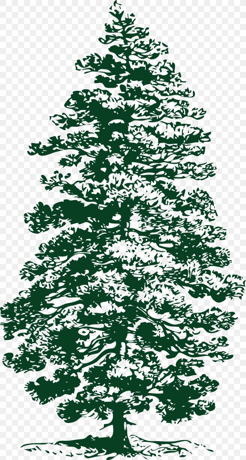 Eastern White Pine Tree Clip Art, PNG, 1026x1920px, Pine, Art, Black And White, Branch, Christmas Decoration Download Free