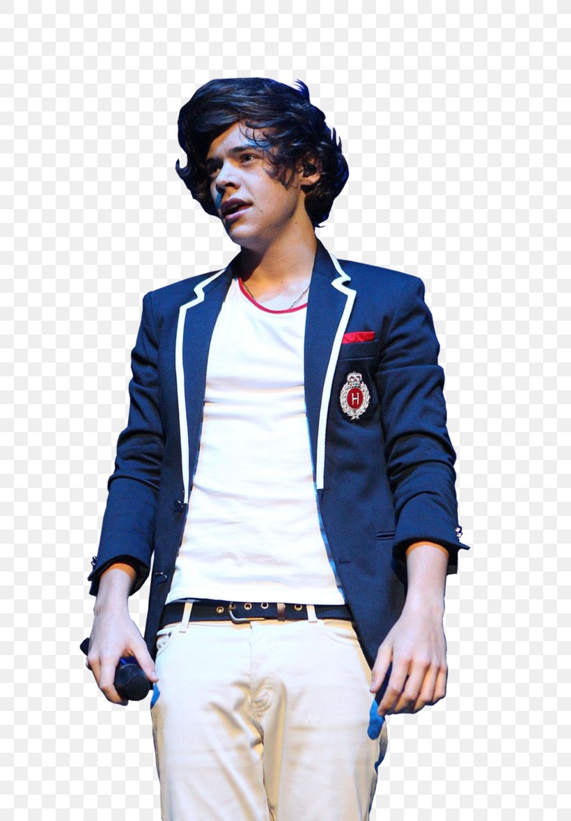 Harry Styles Up All Night Tour One Direction Up All Night: The Live Tour, PNG, 678x1178px, Watercolor, Cartoon, Flower, Frame, Heart Download Free