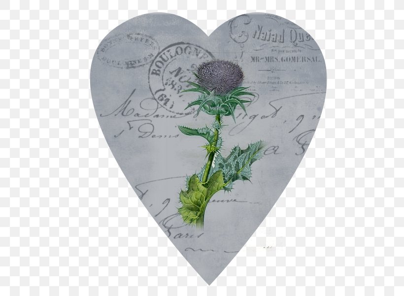 Post Cards France Poster Print Song Heart, PNG, 600x600px, Post Cards, Flower, France, Heart, M095 Download Free