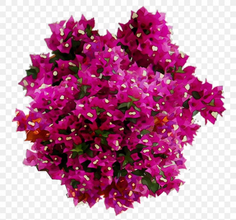 Stock Photography Image Royalty-free, PNG, 1121x1045px, Stock Photography, Annual Plant, Artificial Flower, Bougainvillea, Buddleia Download Free