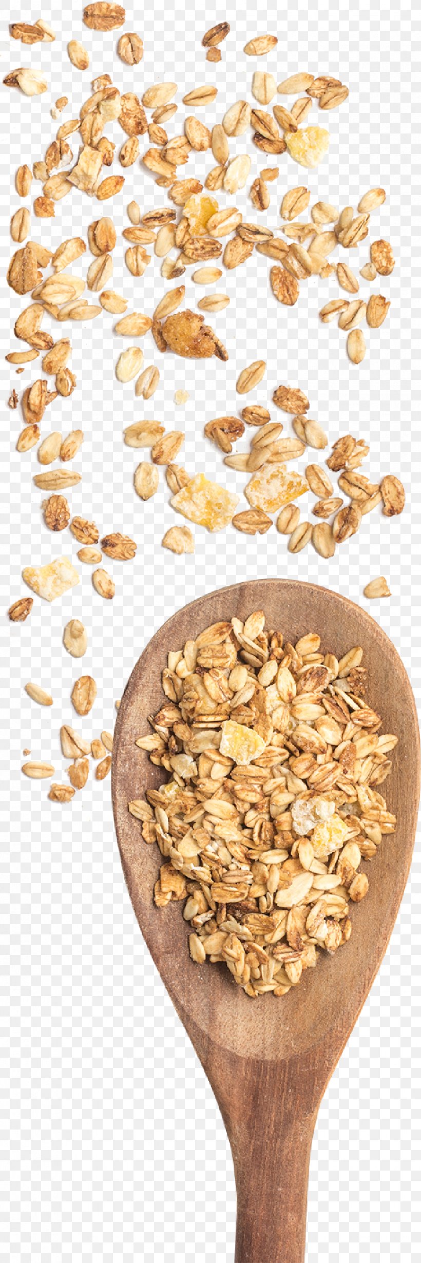 Breakfast Cereal Cereal Germ Whole Grain Oat, PNG, 868x2604px, Breakfast Cereal, Breakfast, Cereal, Cereal Germ, Commodity Download Free