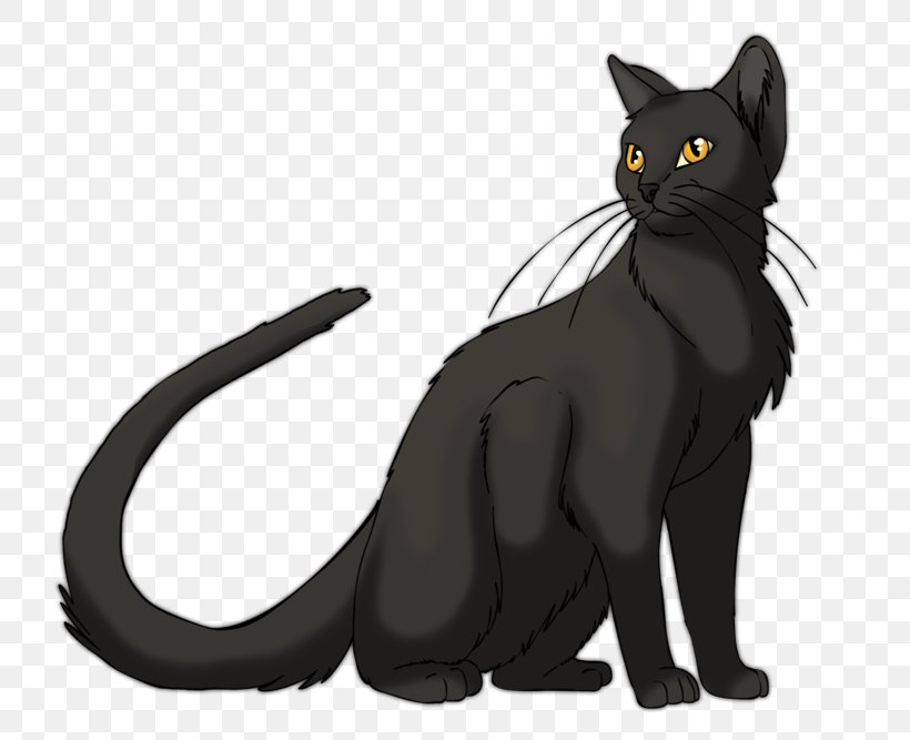 Korat Kitten Whiskers Domestic Short-haired Cat, PNG, 800x667px, Korat, Black, Black Cat, Bombay, Carnivoran Download Free