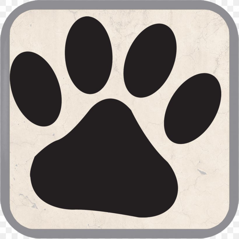 Leopard Animal Big Cat Sound, PNG, 1024x1024px, Leopard, Animal, Appadvicecom, Big Cat, Cat Download Free