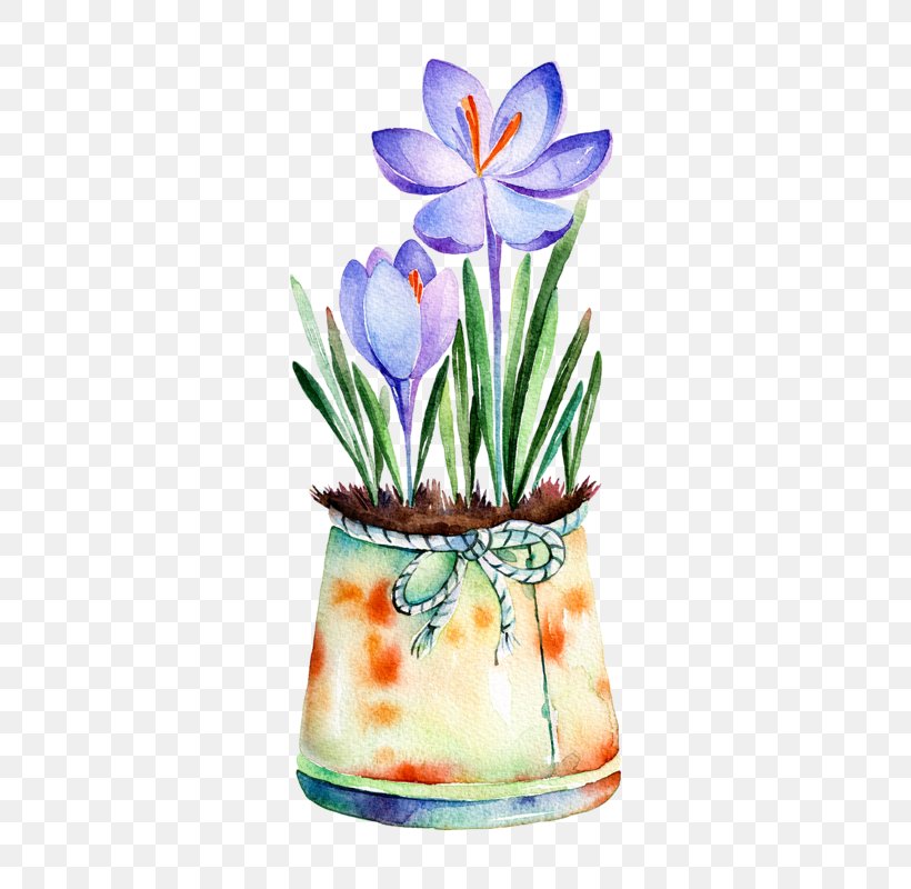 Drawing Watercolor Painting Flower, PNG, 560x800px, Drawing, Art, Bulb, Floral Design, Flower Download Free