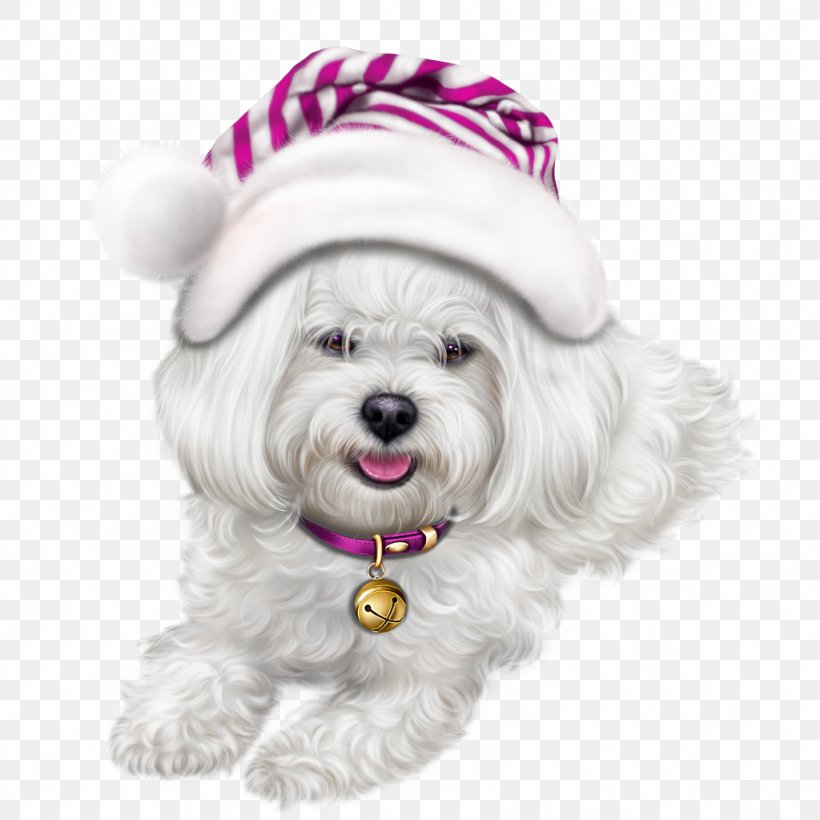 Lhasa Apso Puppy Symbol Clip Art, PNG, 1024x1024px, 2018, Lhasa Apso, Animal, Bichon, Blog Download Free