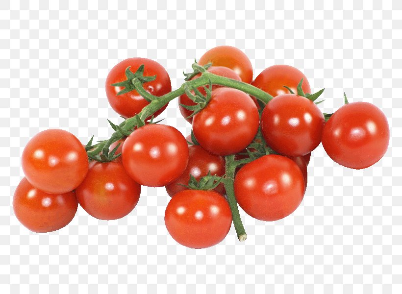 Plum Tomato Bush Tomato Cocktail Cherry Tomato Vegetable, PNG, 800x600px, Plum Tomato, Acerola Family, Beefsteak Tomato, Bush Tomato, Cherry Download Free