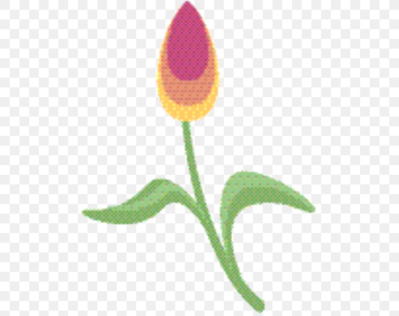 Tulip Flower, PNG, 497x651px, Tulip, Flower, Herbaceous Plant, Leaf, Pedicel Download Free