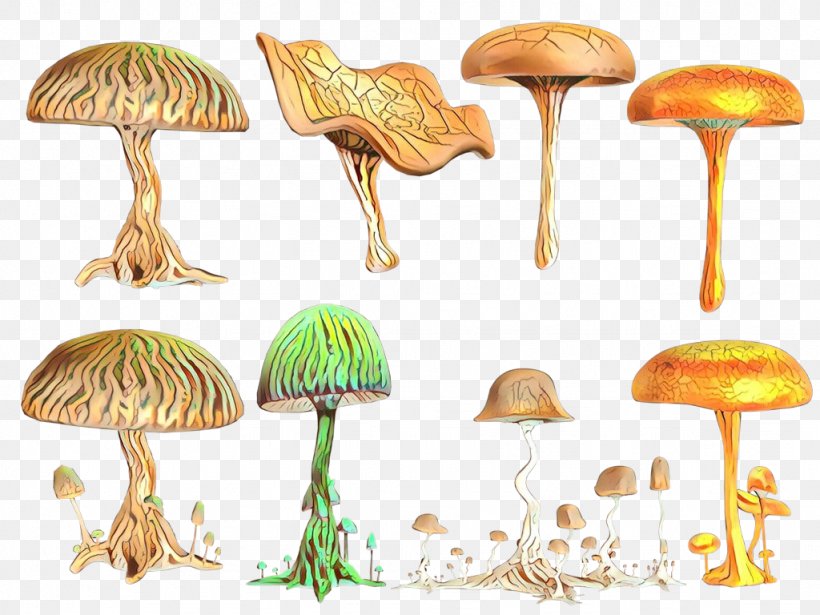 Mushroom Fungus Shiitake Design Drawing, PNG, 1024x768px, Cartoon, Agaricaceae, Agaricomycetes, Agaricus, Bolete Download Free