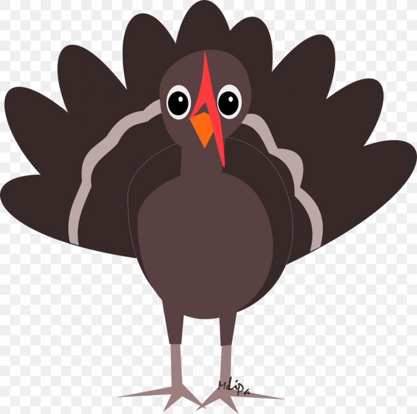 Turkey Meat Thanksgiving Clip Art, PNG, 905x900px, Turkey, Beak, Bird, Blog, Chicken Download Free