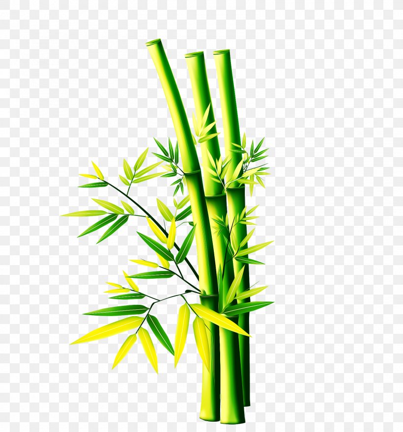 Bamboo, PNG, 1600x1719px, Bamboo, Grass, Grass Family, Green, Plant Stem Download Free