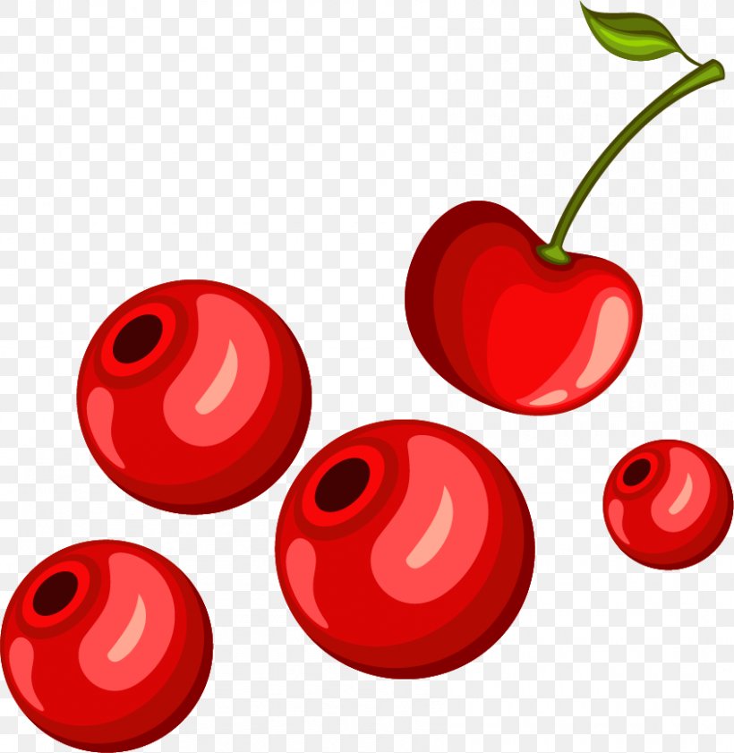 Cherry Euclidean Vector Clip Art, PNG, 845x867px, Cherry, Designer, Drawing, Food, Fruit Download Free