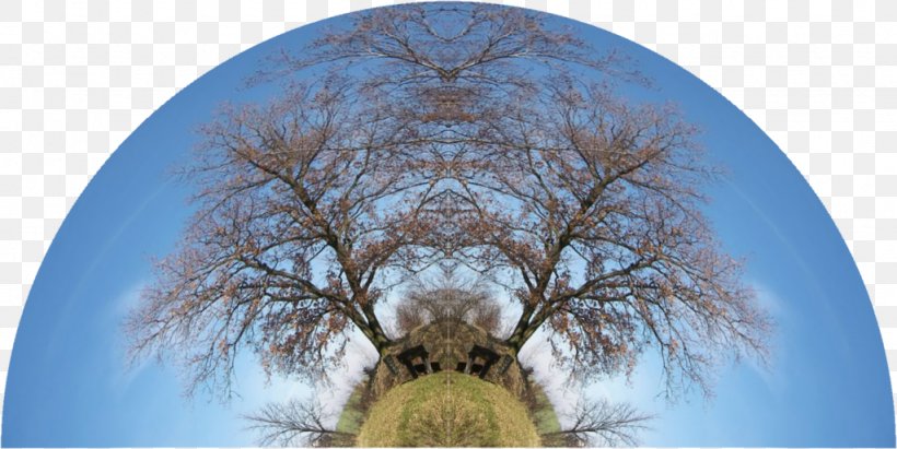 Desktop Wallpaper Stock Photography Computer Symmetry, PNG, 1024x514px, Stock Photography, Arch, Branch, Branching, Computer Download Free