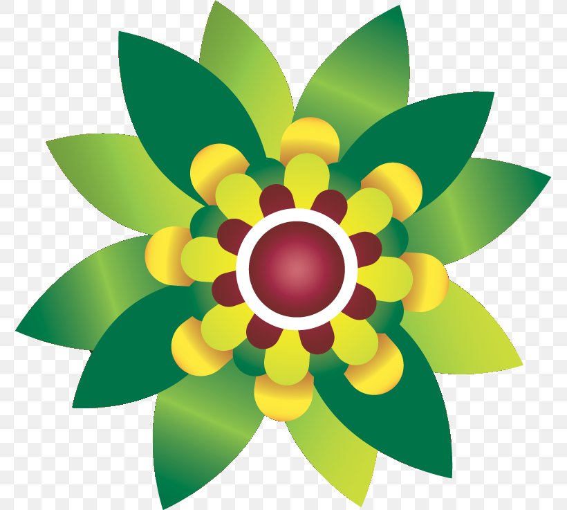 Floral Design Flower Adobe Photoshop Green, PNG, 775x737px, Floral Design, Color, Creativity, Flora, Floristry Download Free