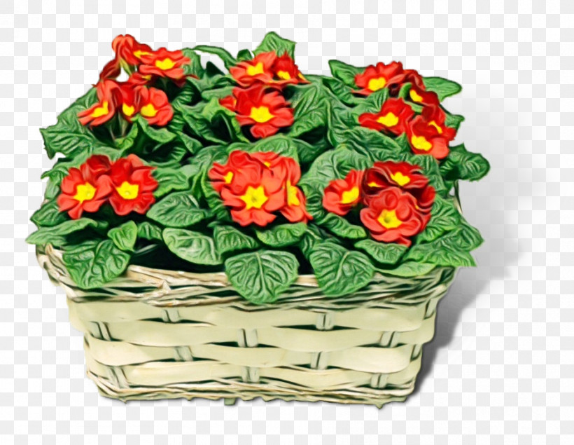 Flower Flowerpot Plant Houseplant Primula, PNG, 937x726px, Watercolor, Anthurium, Bouquet, Flower, Flowerpot Download Free