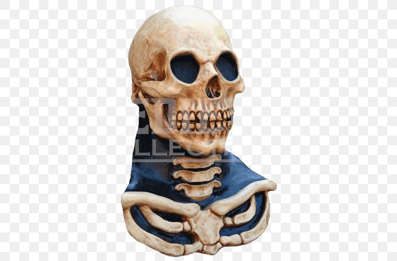 Halloween Costume Human Skeleton Skull Mask, PNG, 539x539px, Halloween Costume, Bone, Costume, Halloween, Head And Neck Anatomy Download Free