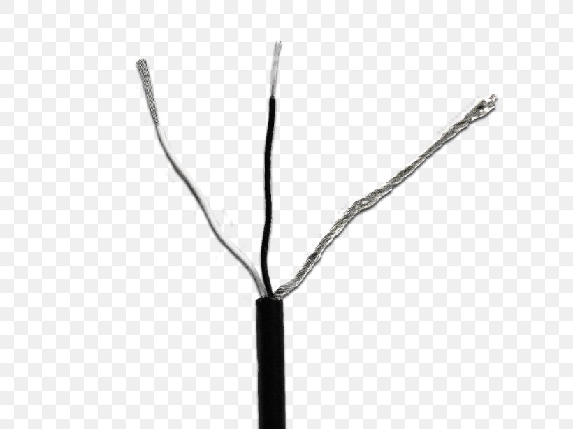Line, PNG, 768x614px, Technology, Branch, Cable, Plant Stem, Tree Download Free