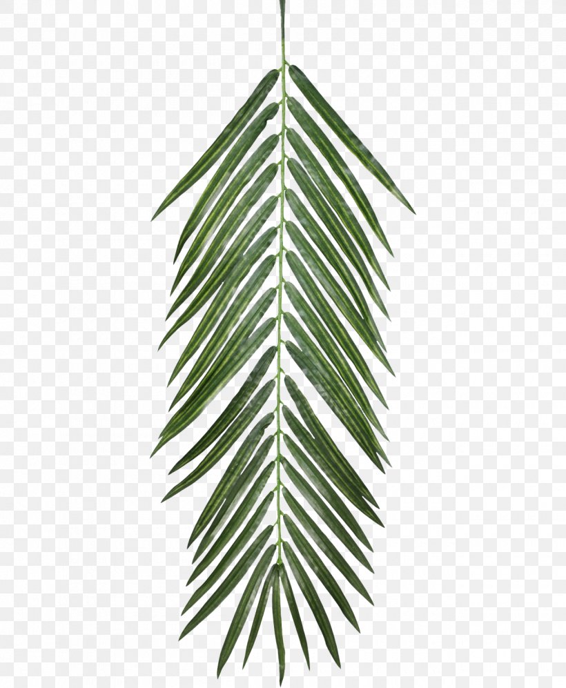 Plant Opacity Texture Mapping Leaf, PNG, 1260x1532px, 3d Computer Graphics, Plant, Container Garden, Diffuse Reflection, Evergreen Download Free