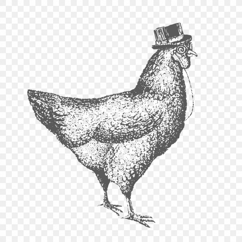 Bird, Chicken, Chicken As Food, Drawing, Galinha Caipira, Beak, Rooster,  Poultry, Chicken, Chicken As Food, Drawing png