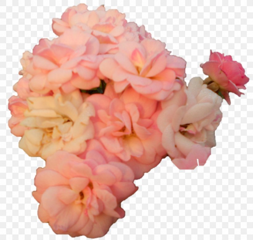 Carnation Cut Flowers Floral Design Flower Bouquet, PNG, 956x908px, Carnation, Cut Flowers, Floral Design, Flower, Flower Bouquet Download Free