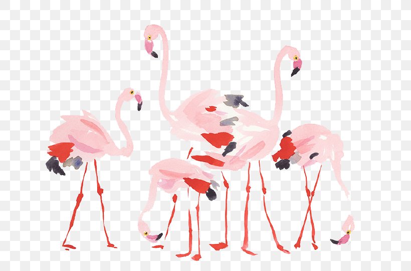 Flamingos Bird, PNG, 690x540px, Bird, Beak, Cartoon, Croquis, Flamingo Download Free